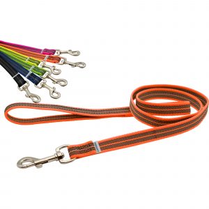 Rubberized leash, with handle