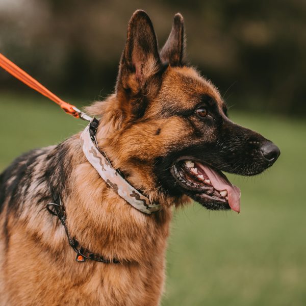 Cover for ULTRA-PLUS Training Collars - Camouflage Desert - Image 6