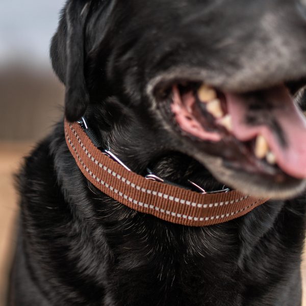 Reflective Cover for ULTRA-PLUS Training Collars - Brown - Image 5