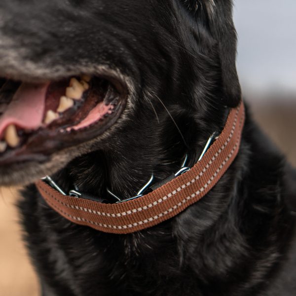 Reflective Cover for ULTRA-PLUS Training Collars - Brown - Image 4