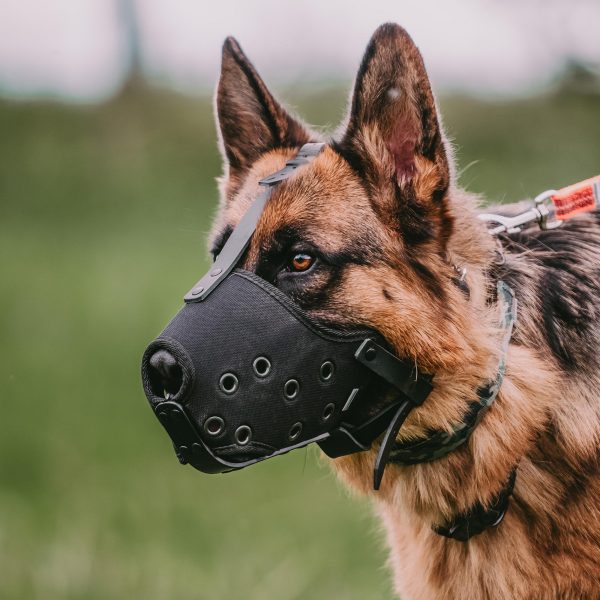 Muzzle - Cordura - Image 7