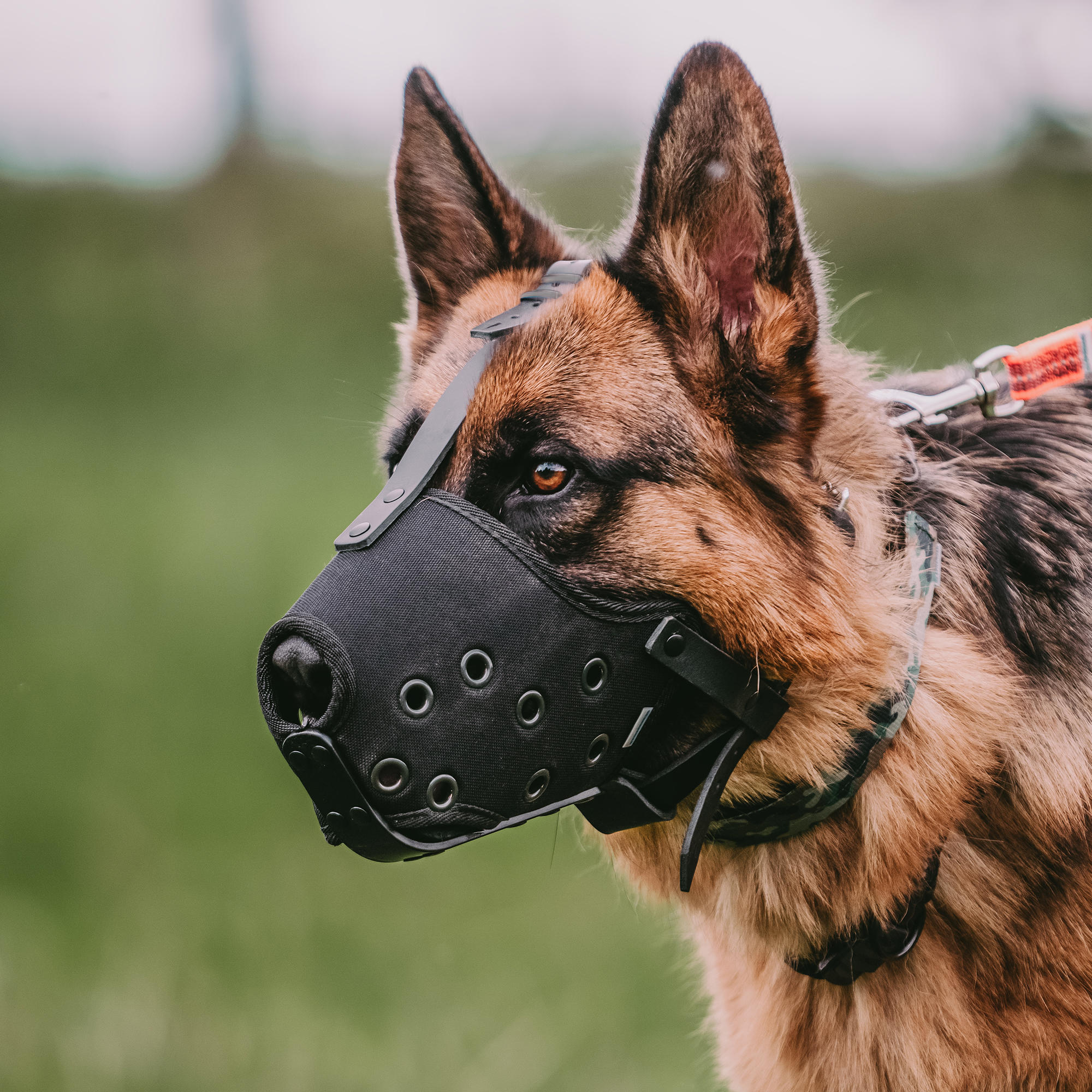 Muzzle - Cordura - Image 7