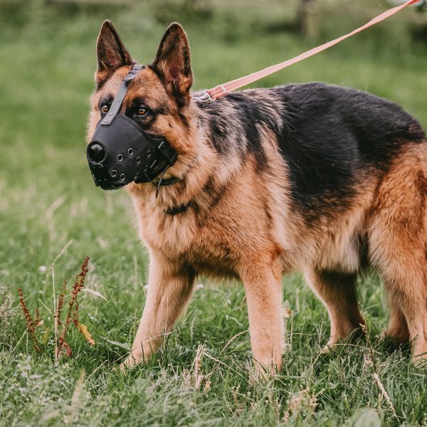 Muzzle - Cordura - Image 8