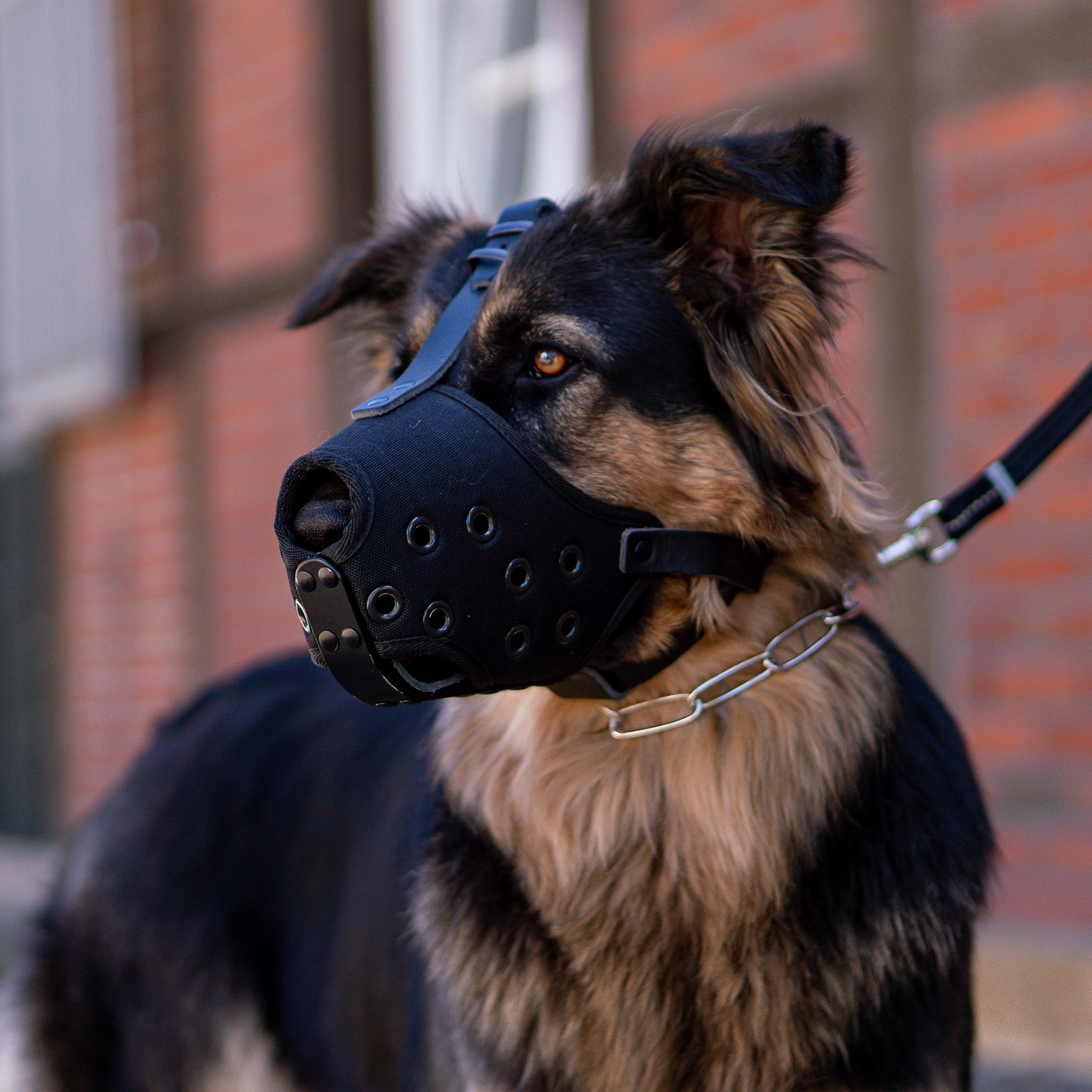 Muzzle - Cordura - Image 9