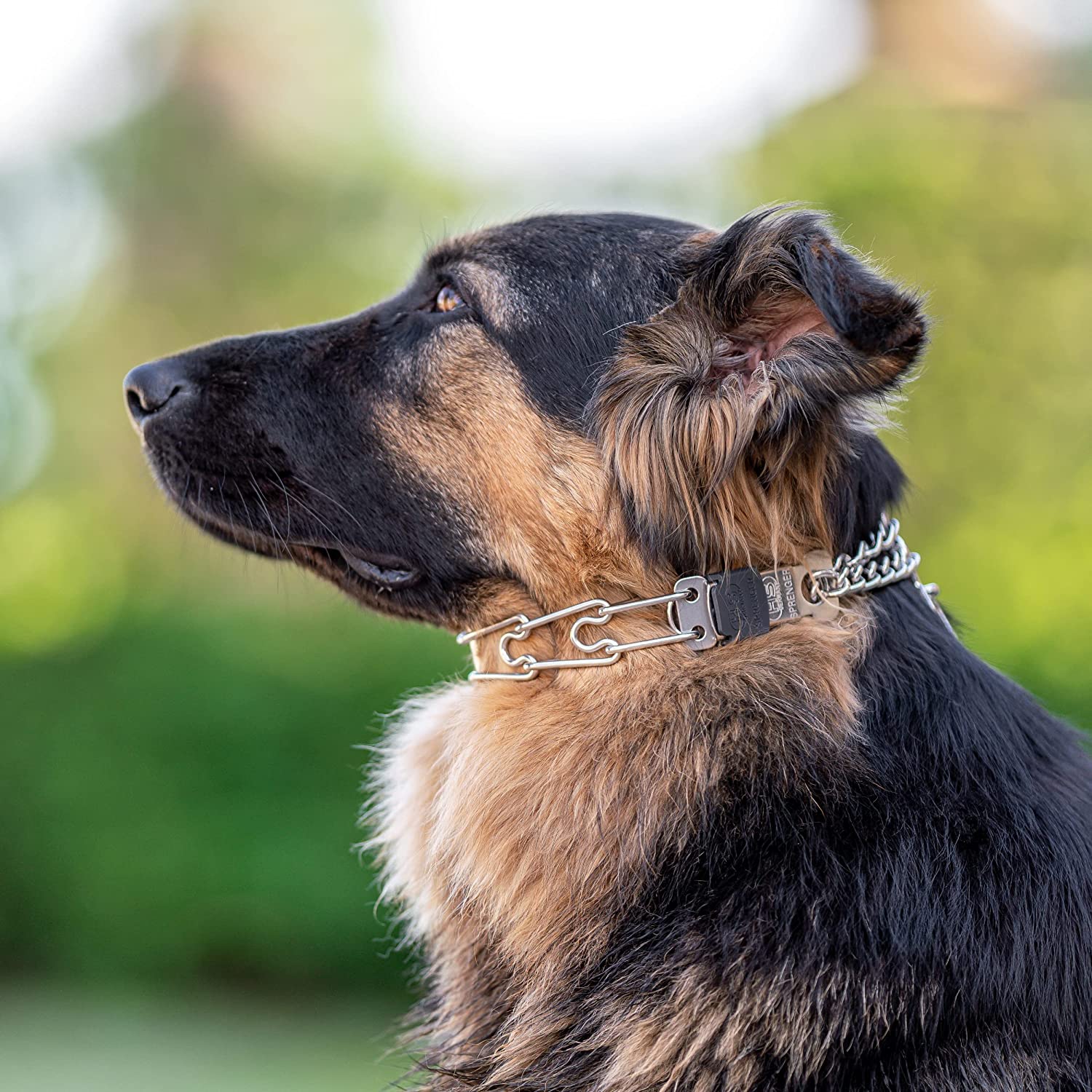 ULTRA-PLUS Training Collar with Center-Plate, Assembly Chain & ClicLock - Stainless steel - Image 3