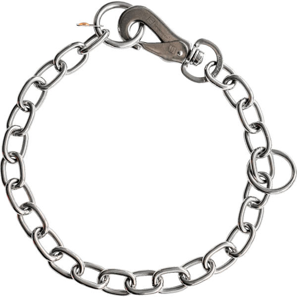 medium chain link dog collar sprenger hook