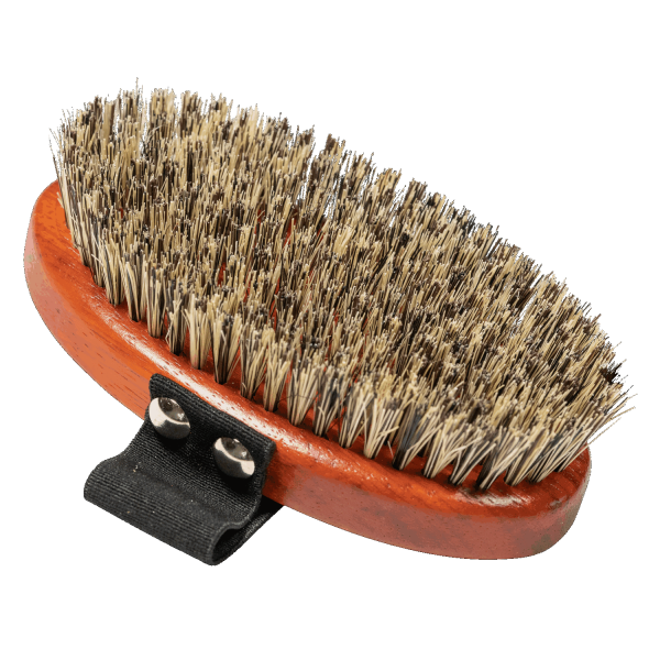 dog brush mixed bristles elastic handle
