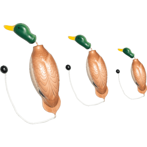 dummy duck