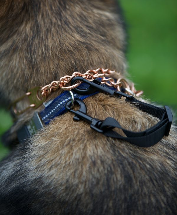 safety clip black
