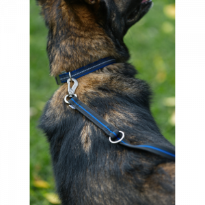 6 FEET / 1,83 M / RUB. LEASH W. RING BLUE LINE