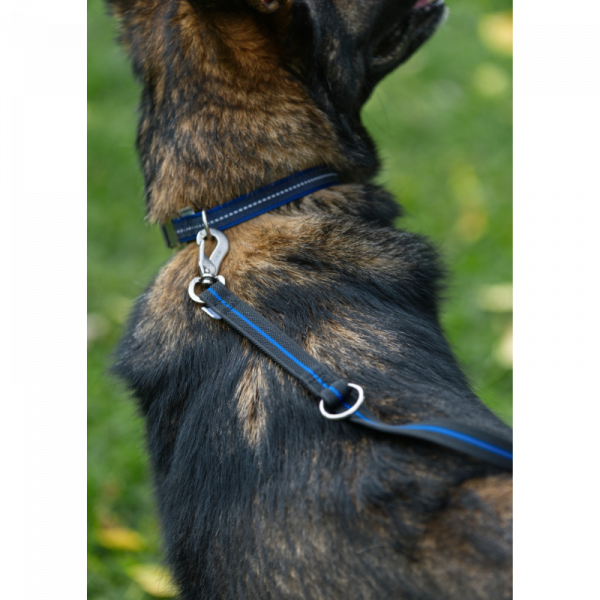 6 FEET / 1,83 M / RUB. LEASH W. RING BLUE LINE