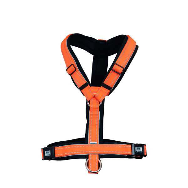 FOAL HARNESS, ORANGE - Image 2