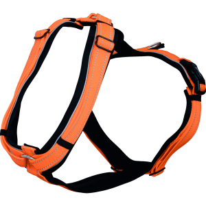 FOAL HARNESS, ORANGE
