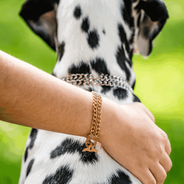 Womens Twin Row Chain Bracelet - Image 6